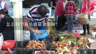 怎么科学栽培磨菇食用菌?