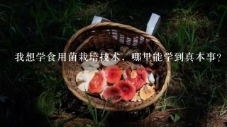 我想学食用菌栽培技术，哪里能学到真本事？