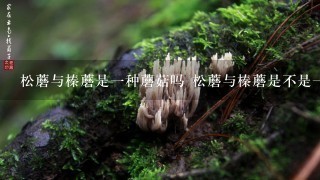 松蘑与榛蘑是1种蘑菇吗 松蘑与榛蘑是不是1种蘑菇