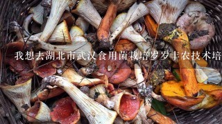 我想去湖北市武汉食用菌栽培岁岁丰农技术培训班学习,那里安全吗??