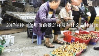 2017年种植食用菌前景怎样及种什么品种最赚钱的秘密