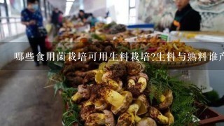 哪些食用菌栽培可用生料栽培?生料与熟料谁产量高?各