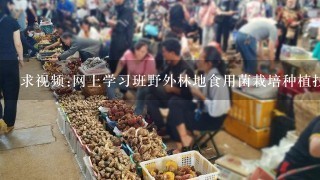 求视频:网上学习班野外林地食用菌栽培种植技术 >