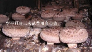 罗平科目2考试费用多少钱？