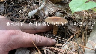 我想问下。食用菌栽培包好多红霉和黑曲霉是什么情况导致？