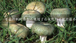 平菇拌料时没加石膏用了石灰代替了能出菇不？