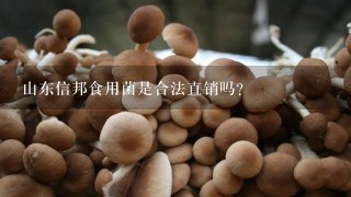 山东信邦食用菌是合法直销吗?