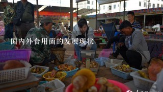 国内外食用菌的发展现状