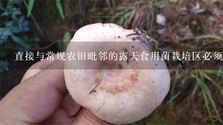 直接与常规农田毗邻的露天食用菌栽培区必须设置（）的缓冲区。