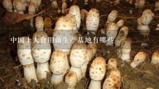 中国十大食用菌生产基地有哪些