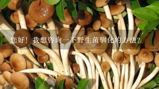 您好！我想咨询1下野生菌驯化的方法？