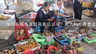 深圳有哪些食用菌栽培公司？招人吗？我想去当个学员。