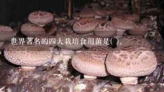 世界著名的4大栽培食用菌是( )。