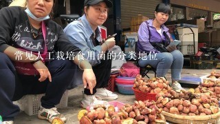 常见人工栽培食用菌的分类地位