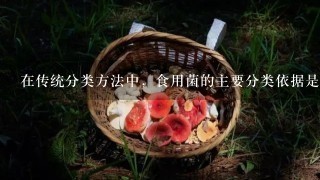 在传统分类方法中，食用菌的主要分类依据是什么，如何命名，