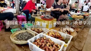 请问重庆哪里有食用菌的栽培基地，我想学习这个，但是不知道重庆哪里有？