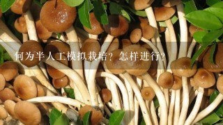 何为半人工模拟栽培？怎样进行？