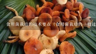 食用菌栽培的技术要点（食用菌栽培的1般过程的技术