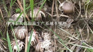 中国十大食用菌生产基地有哪些