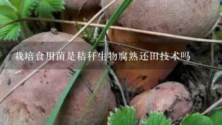 栽培食用菌是秸秆生物腐熟还田技术吗