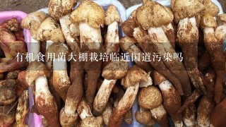 有机食用菌大棚栽培临近国道污染吗