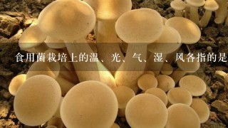 食用菌栽培上的温、光、气、湿、风各指的是什么？