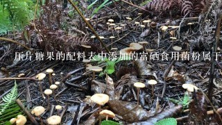 压片糖果的配料表中添加的富硒食用菌粉属于营养强化剂吗