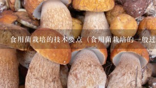 食用菌栽培的技术要点（食用菌栽培的1般过程的技术