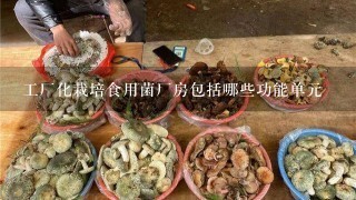 工厂化栽培食用菌厂房包括哪些功能单元