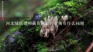 河北绿珍食用菌有限公司目前有什么问题