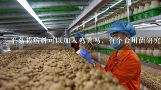 平菇栽培料可以加入鸡粪吗，有个食用菌研究所说用他