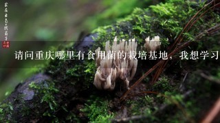 请问重庆哪里有食用菌的栽培基地，我想学习这个，但是不知道重庆哪里有？