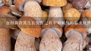 食用菌在其生长发育过程中对氧气的需求规律是什么