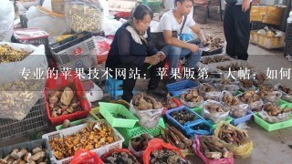 专业的苹果技术网站：苹果版第1大帖：如何实现我国苹果的无袋化栽培