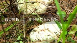 简历模板设计-如何制作简历模板