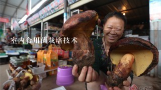 室内食用菌栽培技术