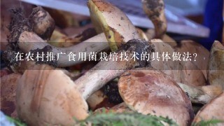 在农村推广食用菌栽培技术的具体做法?