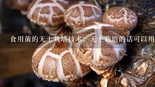 食用菌的无土栽培技术，无土栽培的话可以用什么来代替？