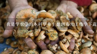 我是学农学的本科毕业生想到寿光工作学下蔬菜栽培和食用菌栽培，我应该到寿光什么地方去好呢