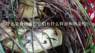 什么是食用菌？它们有什么特点和用途吗？