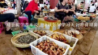 对于初学者来说，应该如何学习无公害食用菌种植技术？