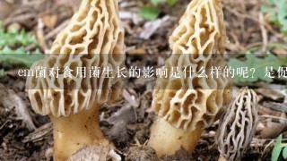 em菌对食用菌生长的影响是什么样的呢？是促进还是抑制了其生长？