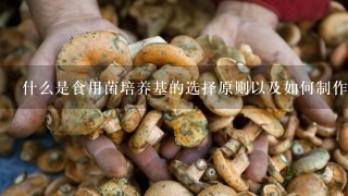 什么是食用菌培养基的选择原则以及如何制作它们？