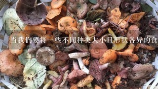 当我们要将一些不同种类大小且形状各异的食用菌放在一起的时候应该怎么做才不会影响它们之间的相互作用及互相竞争的现象发生？