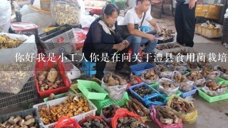 你好我是小工人你是在问关于澧县食用菌栽培基地的具体信息吗？