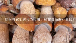 如何将它们转化为可用于制作食品的产品线？