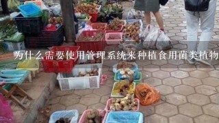 为什么需要使用管理系统来种植食用菌类植物？