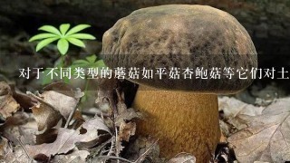 对于不同类型的蘑菇如平菇杏鲍菇等它们对土壤的要求有何区别？