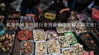 在室内或室外进行食用菌栽培有何不同之处？