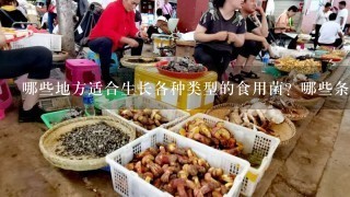 哪些地方适合生长各种类型的食用菌？哪些条件是必需的以确保成功地进行培养？